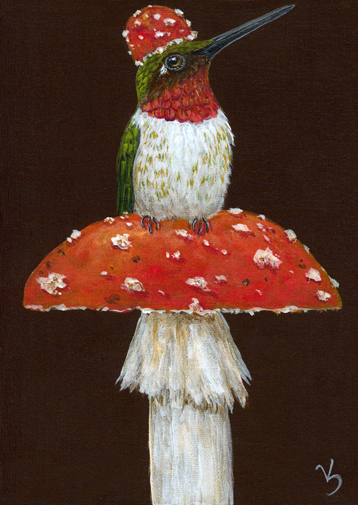 Front View