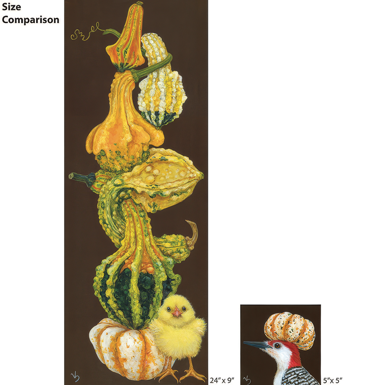 Size Comparison