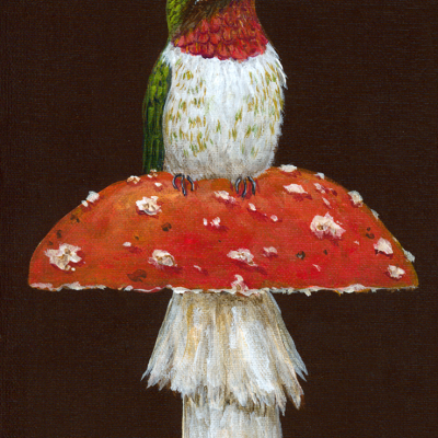 Front View