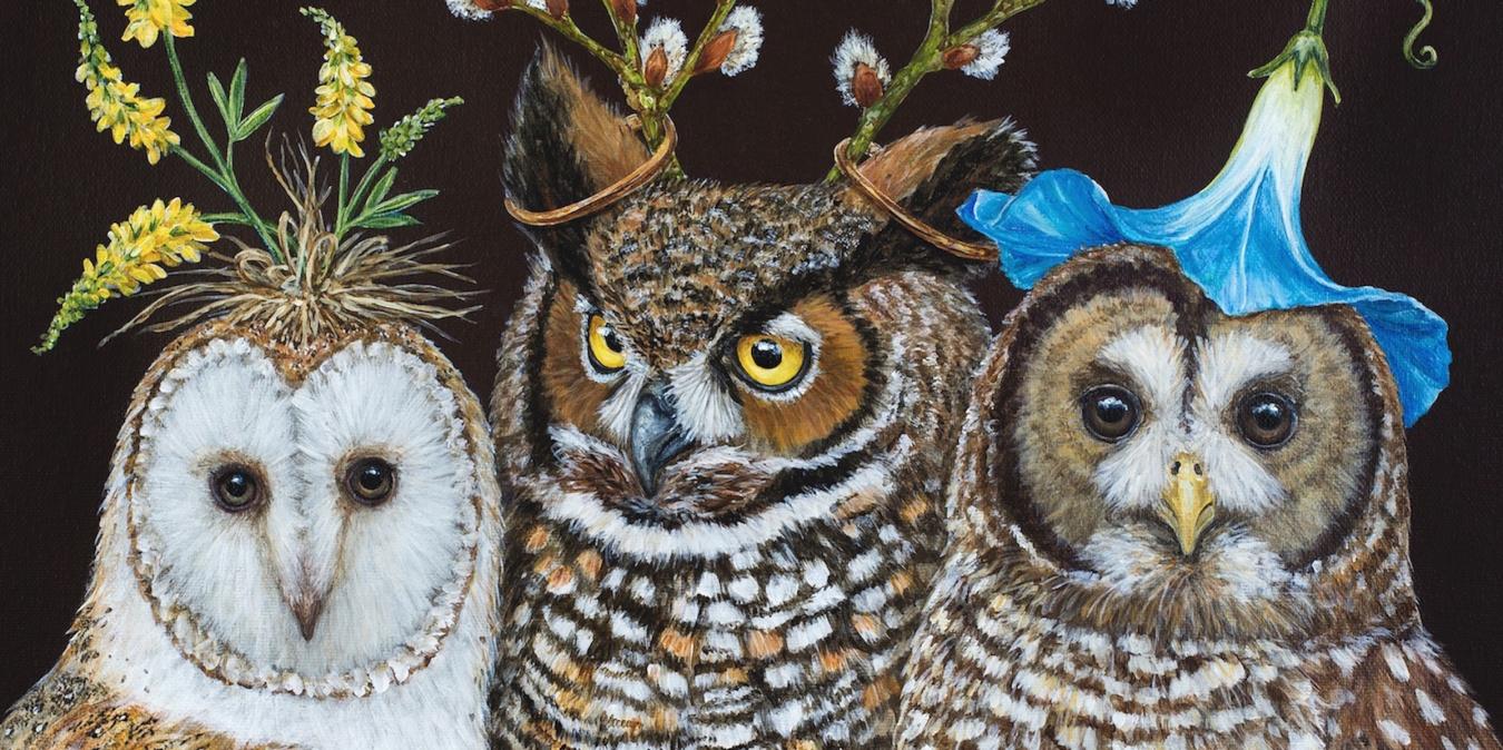 Homepage Vicki Sawyer